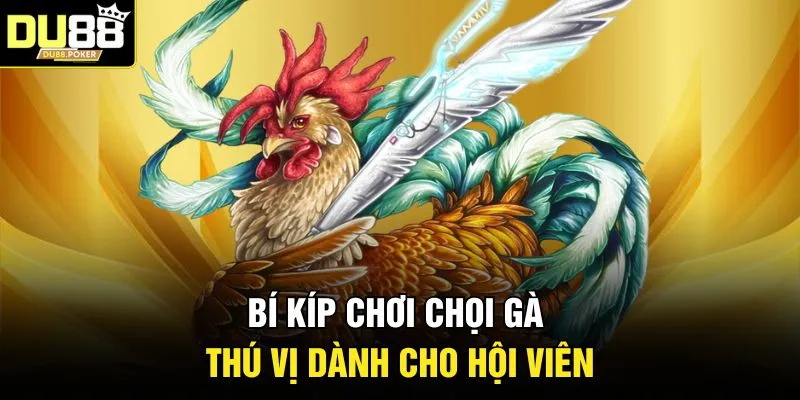 Đá Gà DU88 4 Bí kíp chơi chọi gà thú vị dành cho hội viên