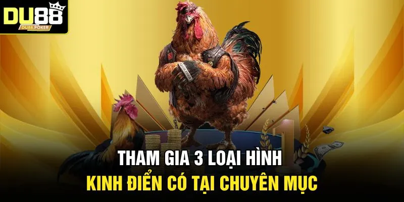 Đá Gà DU88 3 Tham gia 3 loại hình kinh điển có tại chuyên mục