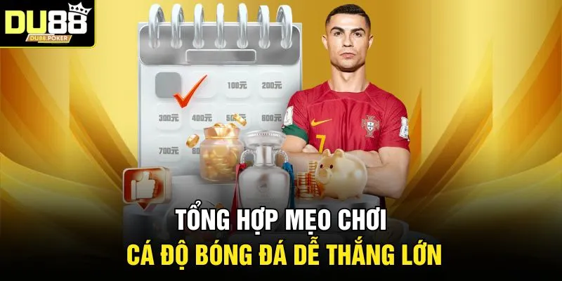 Tổng hợp mẹo chơi cá độ bóng đá dễ thắng lớn 
